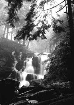 Timber Falls