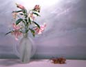 Crystal Morning I