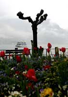 Lake Como