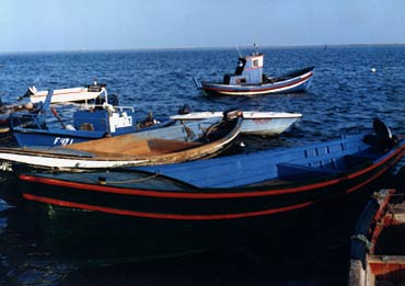 Ohla Portugal