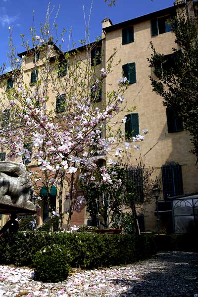 Siena