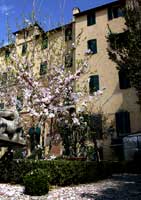 Siena