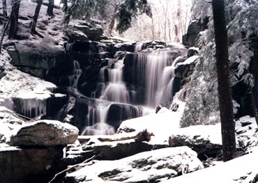 Timber Falls