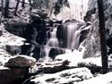 Timber Falls